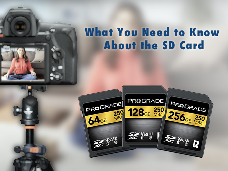 Memory Card